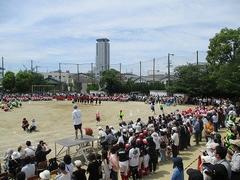 IMG_1029.jpg
