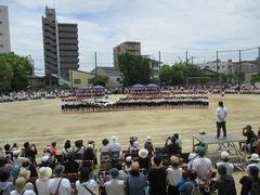 IMG_1135.jpg