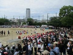 IMG_1007.jpg
