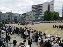 IMG_1001.jpg
