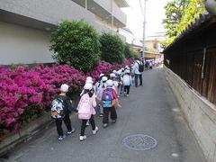 IMG_0810.jpg