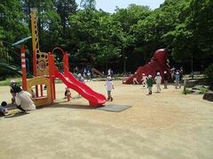 IMG_0824.jpg
