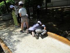 IMG_0826.jpg