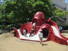 IMG_0832.jpg