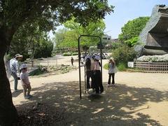 IMG_0837.jpg