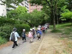 IMG_0856.jpg
