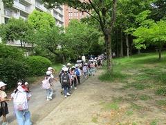 IMG_0860.jpg
