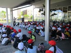 IMG_0868.jpg