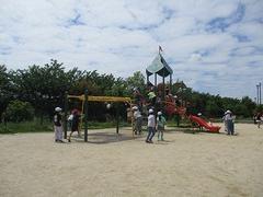 IMG_0870.jpg