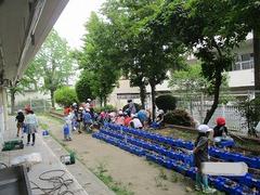 IMG_0890.jpg