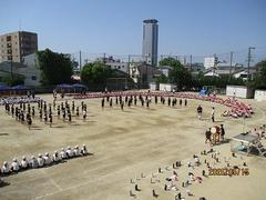 IMG_0905.jpg