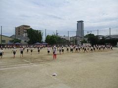 IMG_0929.jpg
