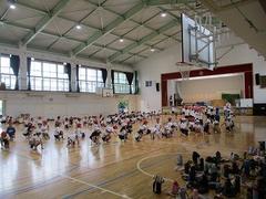 IMG_0959.jpg