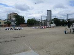 IMG_0962.jpg