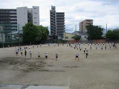 IMG_0966.jpg