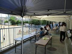 IMG_0971.jpg