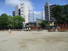 IMG_0978.jpg