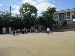IMG_0979.jpg