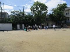 IMG_0980.jpg