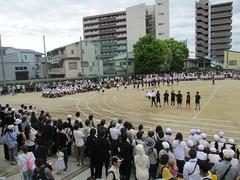 IMG_0981.jpg