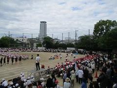 IMG_0985.jpg