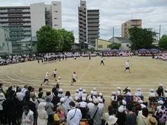 IMG_0987.jpg