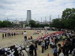 IMG_0988.jpg