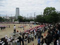 IMG_0990.jpg