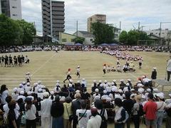 IMG_0992.jpg