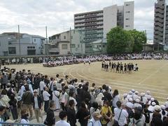 IMG_0993.jpg