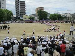 IMG_0994.jpg