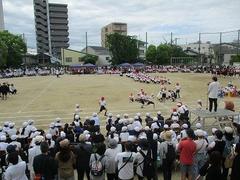 IMG_0998.jpg