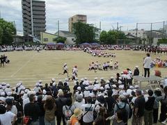 IMG_1000.jpg