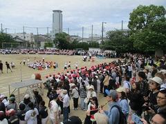 IMG_1011.jpg