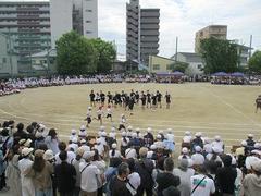 IMG_1015.jpg