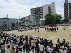 IMG_1019.jpg