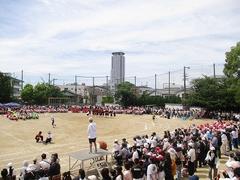 IMG_1030.jpg