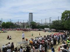 IMG_1031.jpg