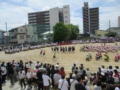 IMG_1037.jpg