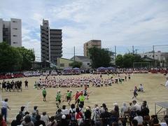 IMG_1041.jpg