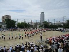 IMG_1051.jpg