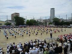 IMG_1071.jpg