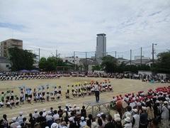 IMG_1074.jpg