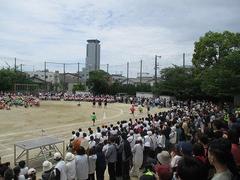 IMG_1078.jpg