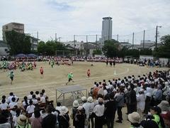 IMG_1087.jpg