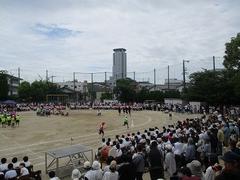 IMG_1093.jpg