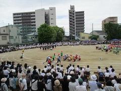 IMG_1095.jpg