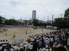 IMG_1097.jpg