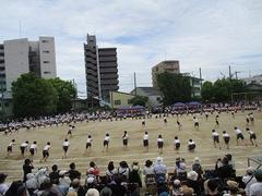IMG_1133.jpg