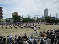 IMG_1139.jpg
